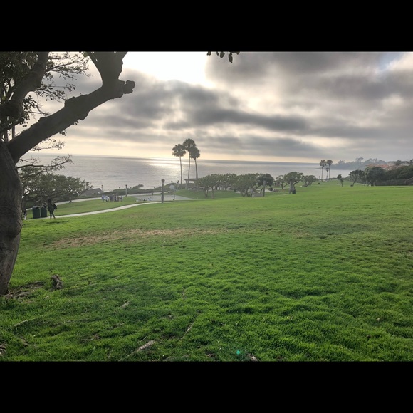 Meet your Posher, Maya - Picture 1 of 1